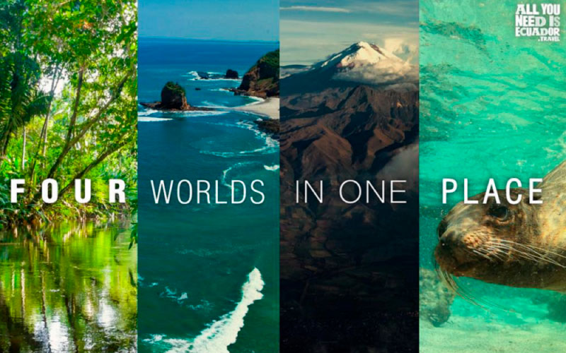 All-you-need-is-Ecuador.jpg
