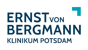 ernst bergmann